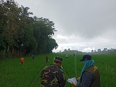 SEKOLAH LAPANG PERTANIAN